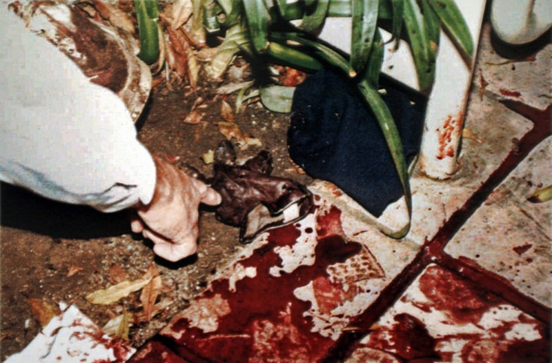 The truth about the physical evidence in the O.J. Simpson trial – Part II