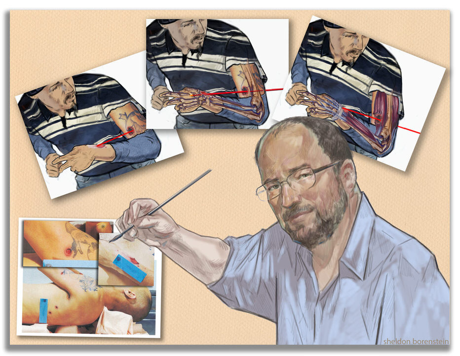 Anatomical Illustrations