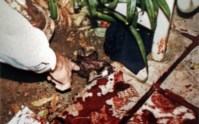 The truth about the physical evidence in the O.J. Simpson trial – Part II