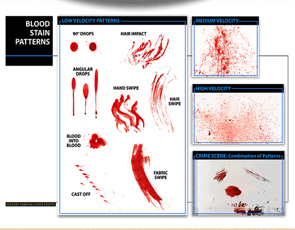 bloodstain pattern analysis research topics